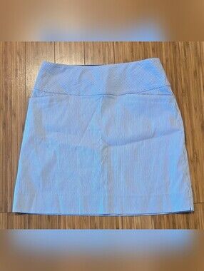 Sc & Co Striped Blue Mini Skirt